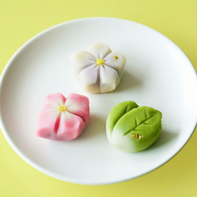 秋の和菓子作り体験セット