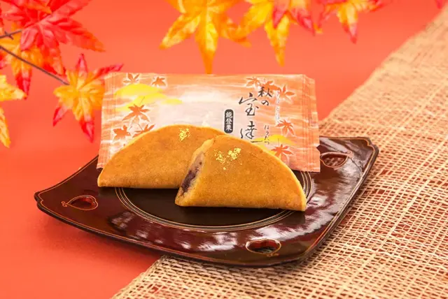 秋の宝達